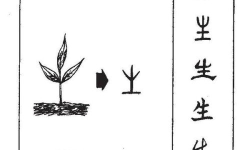 石榴的美容功效与作用禁忌-石榴的十大神奇功效有哪些专区_石榴的功效对皮肤好吗专区_石榴的美容功效与作用网